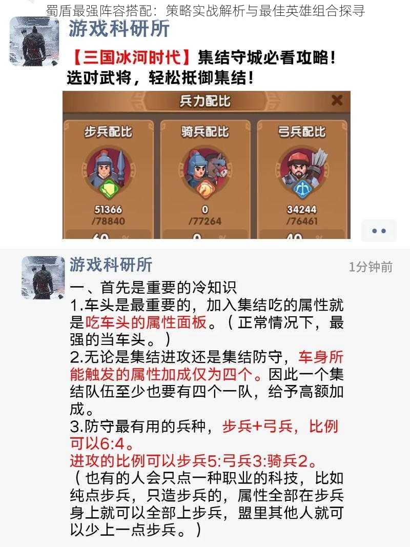 蜀盾最强阵容搭配：策略实战解析与最佳英雄组合探寻