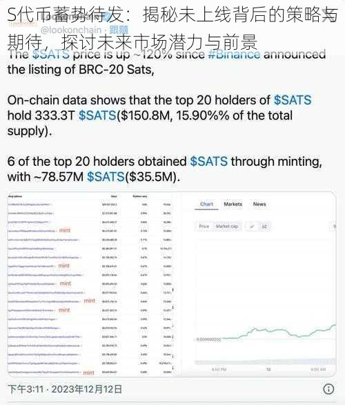 S代币蓄势待发：揭秘未上线背后的策略与期待，探讨未来市场潜力与前景