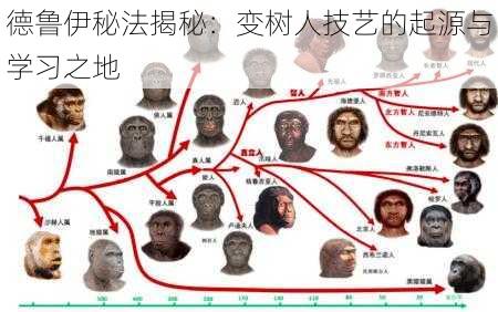 德鲁伊秘法揭秘：变树人技艺的起源与学习之地