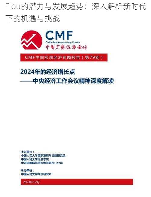 Flou的潜力与发展趋势：深入解析新时代下的机遇与挑战