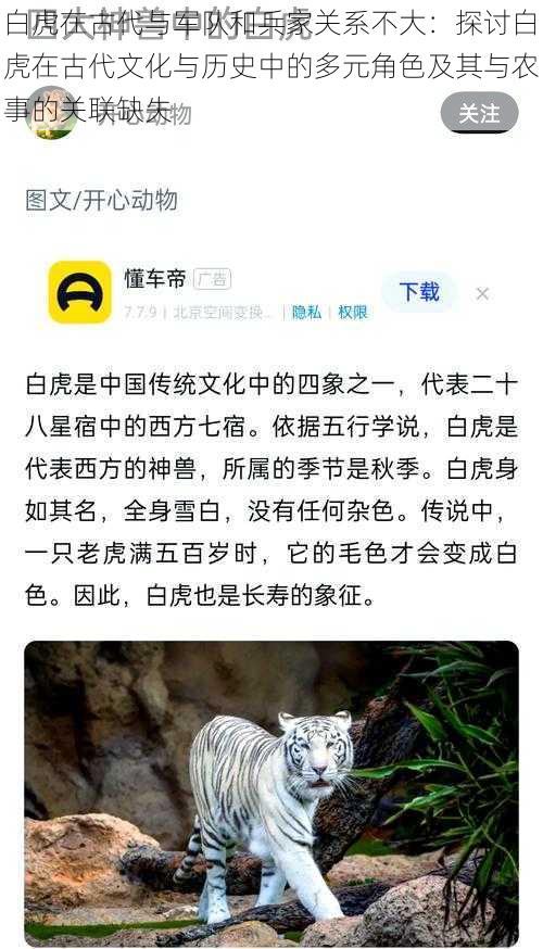 白虎在古代与军队和兵家关系不大：探讨白虎在古代文化与历史中的多元角色及其与农事的关联缺失