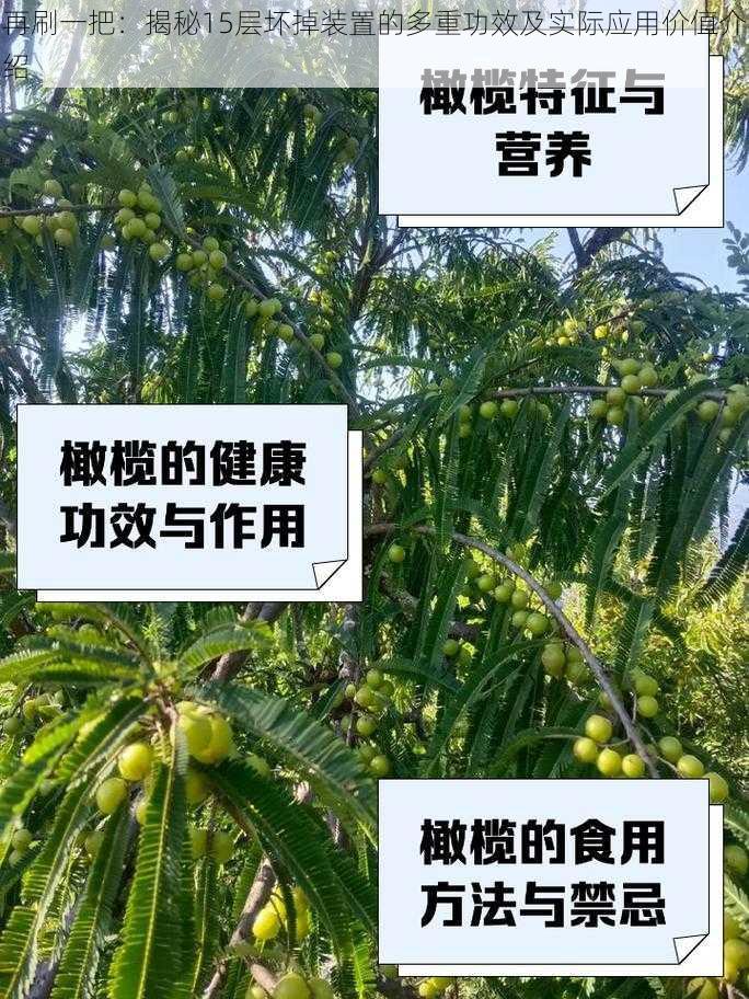 再刷一把：揭秘15层坏掉装置的多重功效及实际应用价值介绍